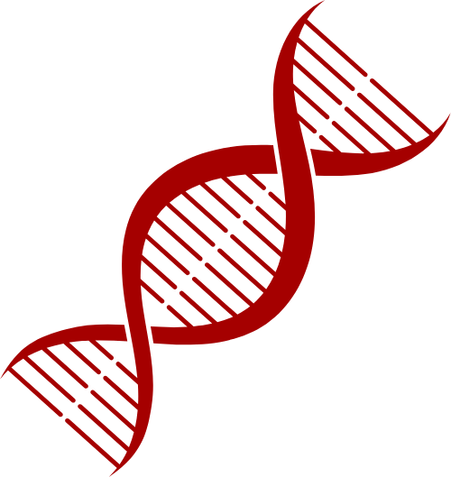 Shape, mảng màu, gen, khoa học,gene, science