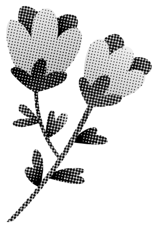 Shape, scrapbook, giấy, paper, vintage, craft, hoa, flower 3