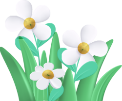 Hoa, flowers