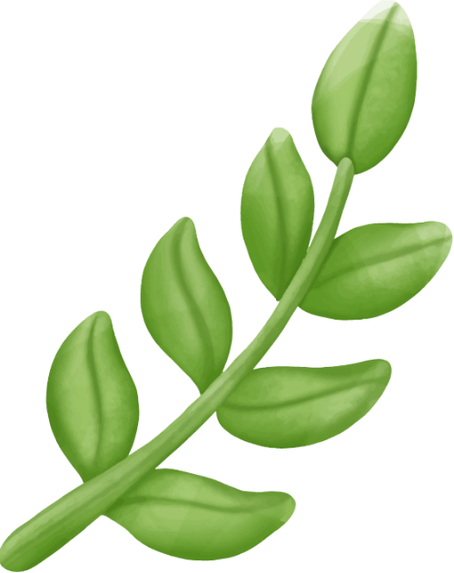 Cọ, brush, lá, leaf