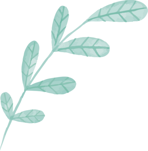Cọ, brush, lá, leaf 1