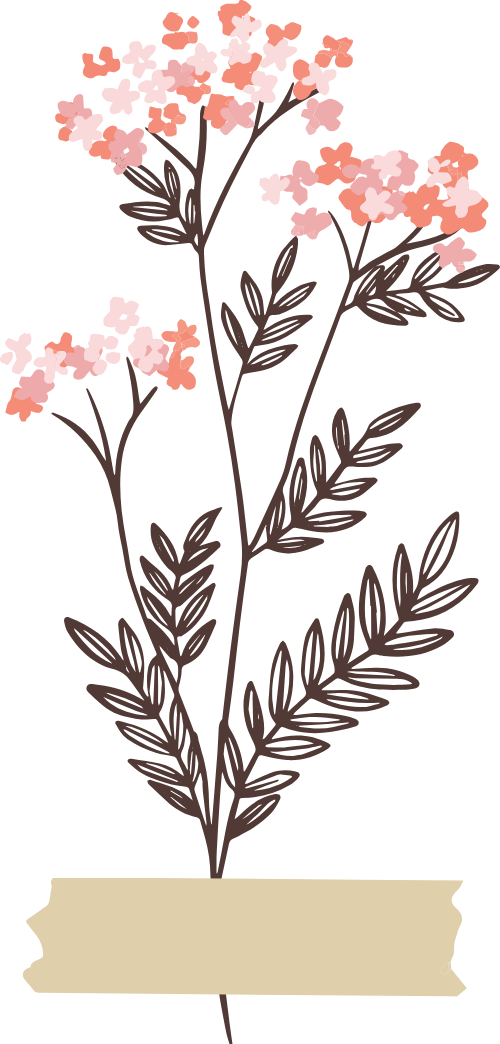 Hoa, flower