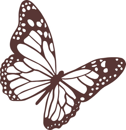 Bướm, bươm bướm, Butterfly