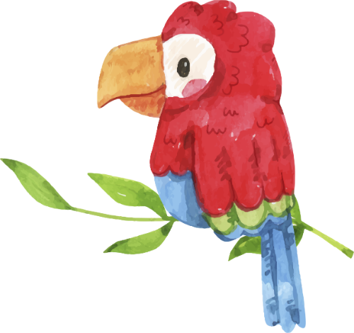 Cọ, brush, con vẹt, con két, chim,parrot, bird