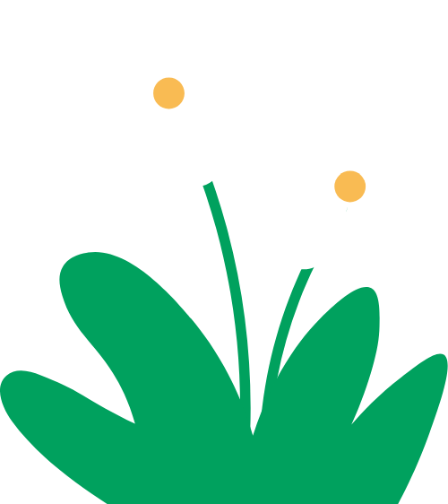 Cỏ, grass, lá, hoa, flower