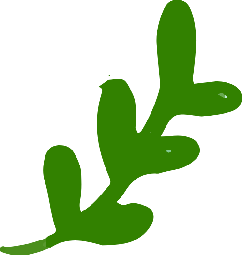 Lá, lá cây, leaf, cute, dễ thương