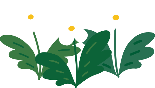 Hoa, flower, cute, dễ thương