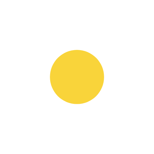 Hoa, hoa cúc, daisy, flower, cute, dễ thương
