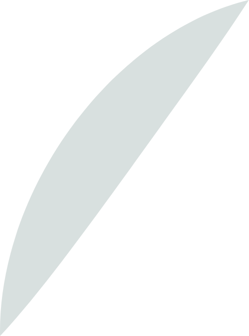 Lá, lá cây, leaf