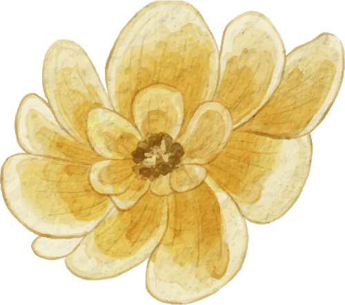 Hoa, hoa lá, flower, watercolor