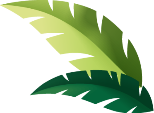lá, leaf