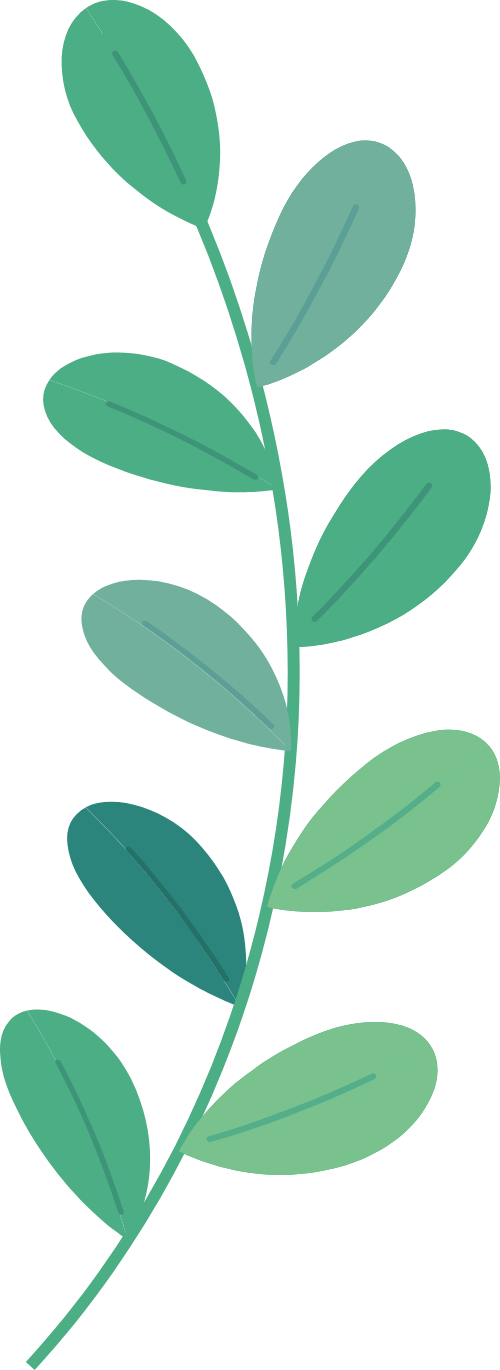 Cỏ, grass, cây xanh, cây, tree