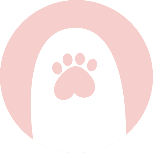 Chân chó, chân mèo, dog, cat