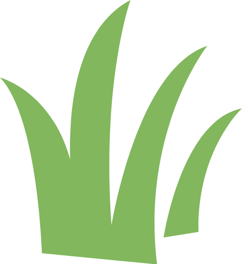 Cỏ, grass, cây xanh, cây, tree, hoa, flower