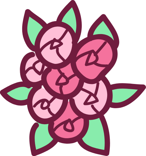 Hoa, hoa hồng, rose, flower, cute, dễ thương