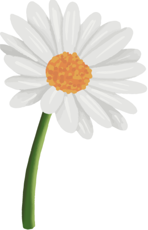 Hoa, flower 1
