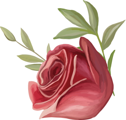 Hoa hồng, rose, hoa, flower, watercolor