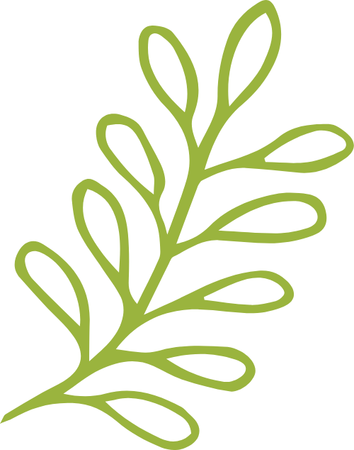 Lá, lá cây, leaf, cute, dễ thương