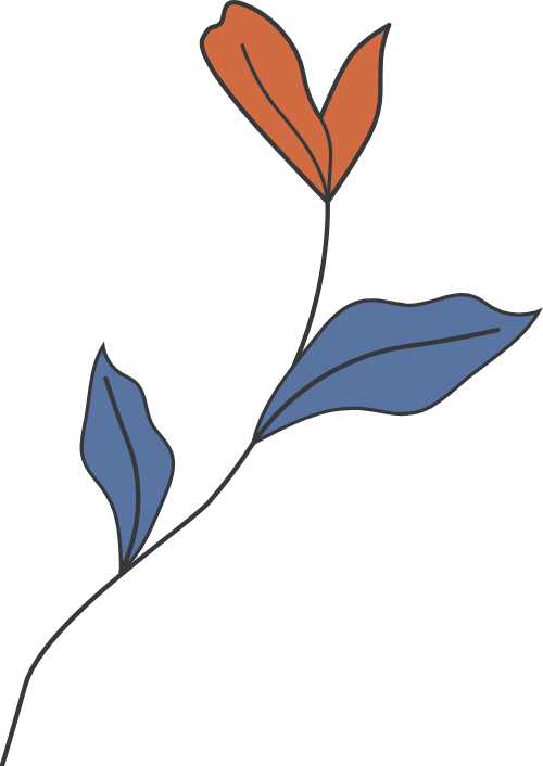 Lá, leaf, shape, abstract, trừu tượng, hình dạng