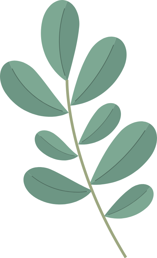 Lá, lá cây, leaf, cute, dễ thương