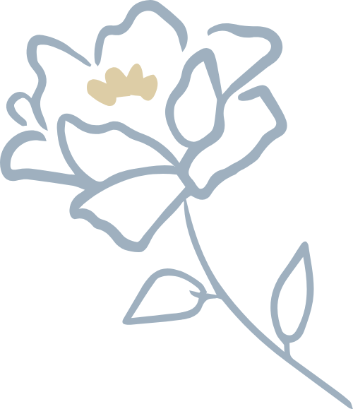 Hoa, hoa lá, flower, leaf, minimalist