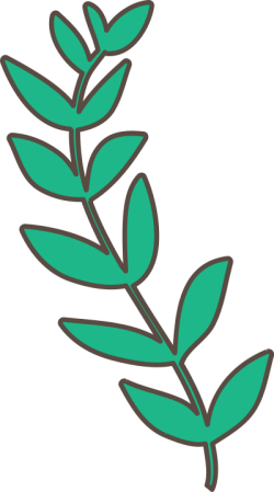 Lá, lá cây, leaf, cute, dễ thương