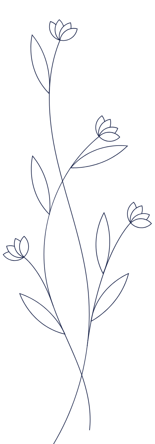 Hoa, hoa lá, flower, leaf, minimalist