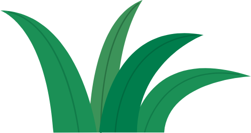 Cỏ, bụi cỏ, grass, cute, dễ thương