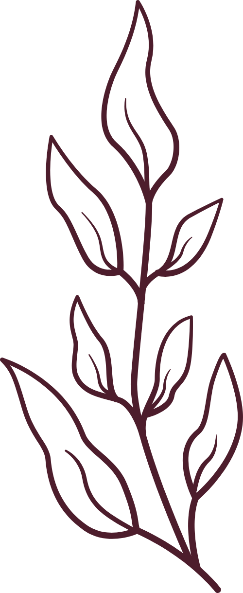 Lá, lá cây, line, leaf