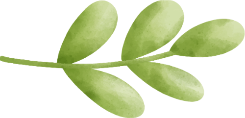 Watercolor, màu nước, lá, lá cây, leaf, cute, dễ thương