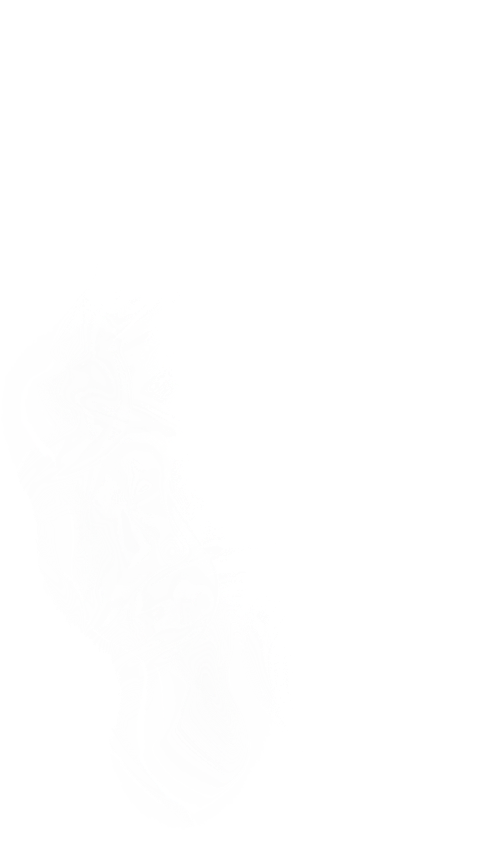 Khói,  smoke