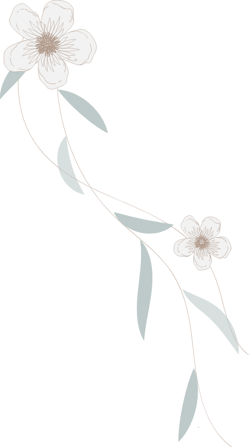 Hoa, hoa lá, flower