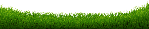 Cỏ, đám cỏ, bãi cỏ, grass