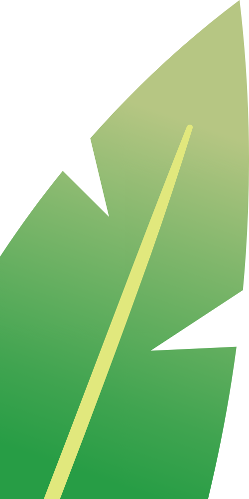 Lá cây, lá, leaf, shape