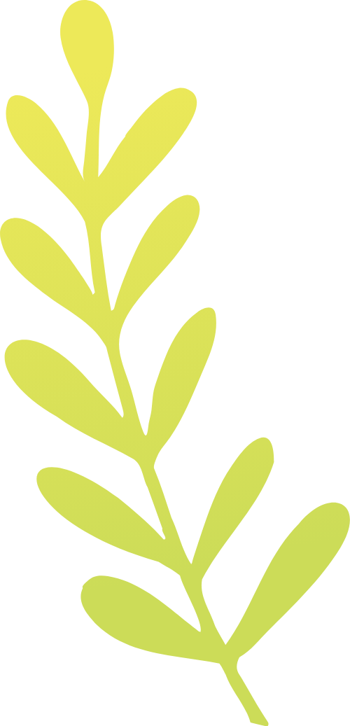Lá cây, lá, leaf, shape