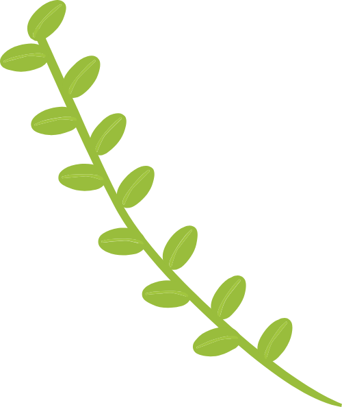 Lá, lá cây, leaf, cute, dễ thương