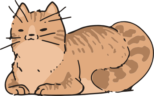 Mèo, cat, cute, dễ thương 5