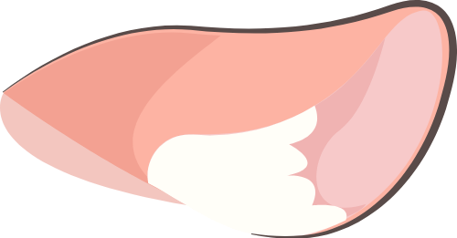 Nơ, bow, cute, dễ thương 1