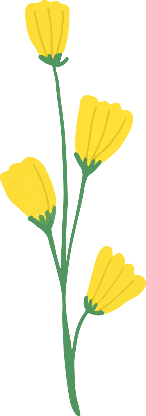 Hoa, flower, cute, dễ thương 1