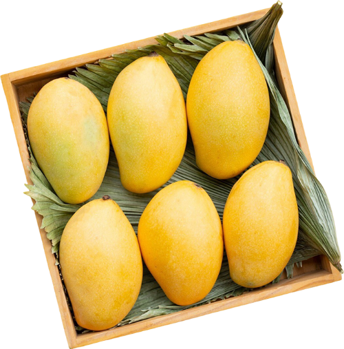 Xoài, mango 2