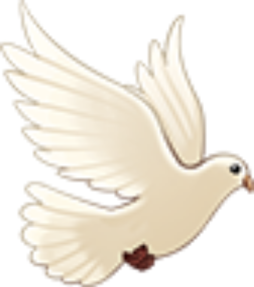 Bồ câu, chim bồ câu, bird, chim, dove, watercolor