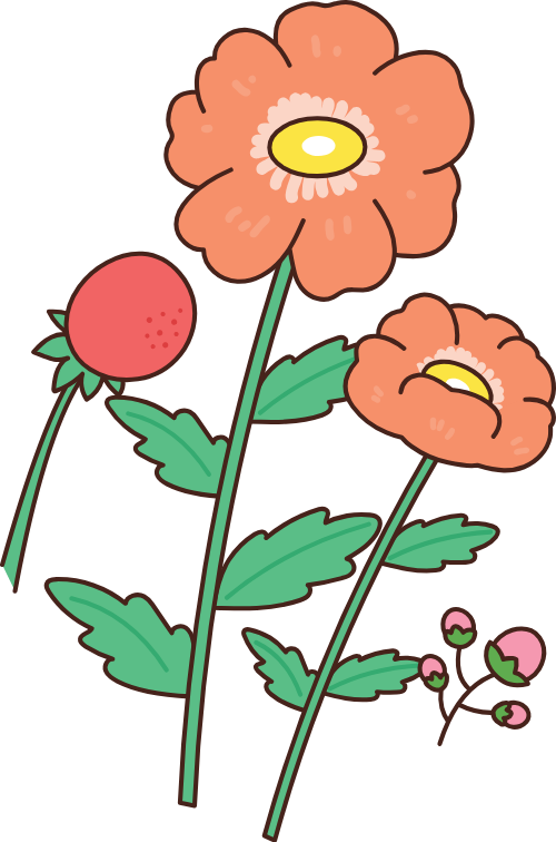 Hoa, flower, flowers, cute, dễ thương