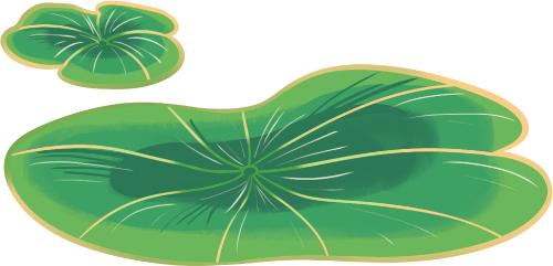Lá sen, sen,  lotus leaf, lotus