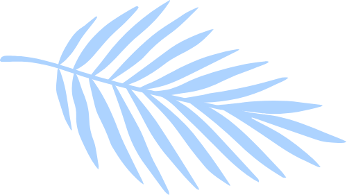 Lá, lá dừa, leaf, coconut leaves