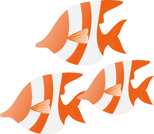 Cá, fish, biển, đại dương, sea, ocean 1
