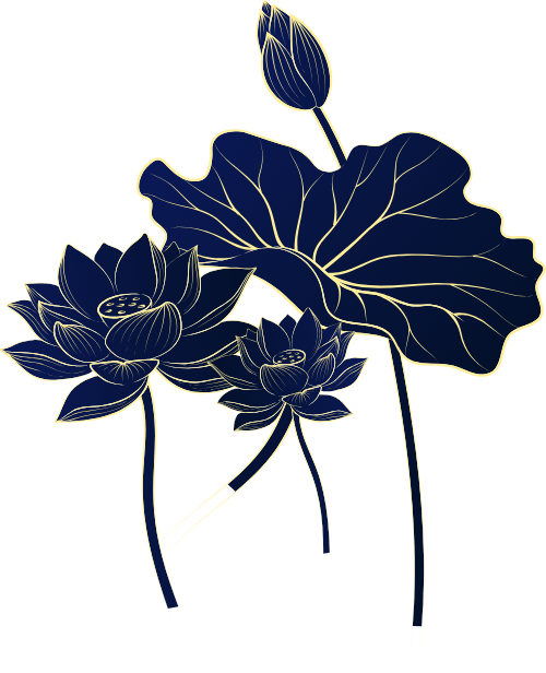 Hoa sen, lá sen, lá, sen, lotus, hoa, flower