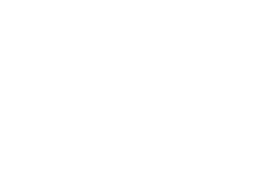 Lông vũ, lông, feather