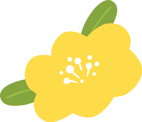 Hoa, flower, flowers, cute, dễ thương