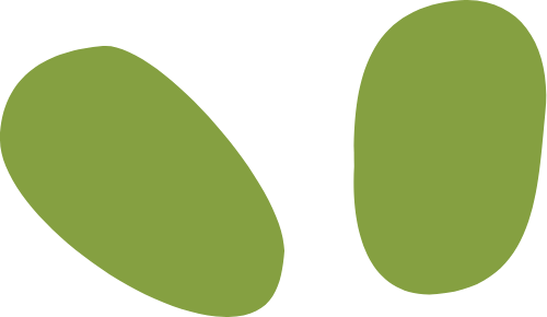 Cỏ, grass, Lá, lá cây, leaf, dễ thương, cute