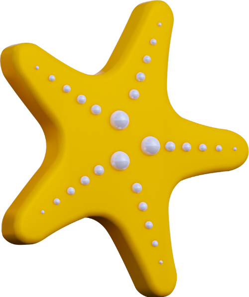 biển, sea, sao biển, starfish